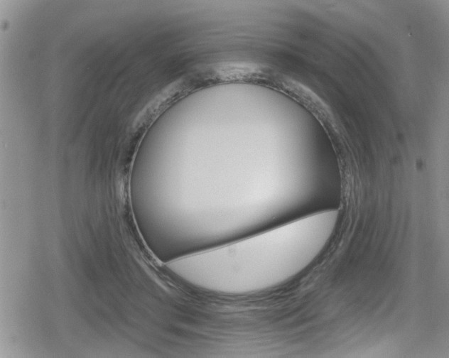 X0000080200405200612081139