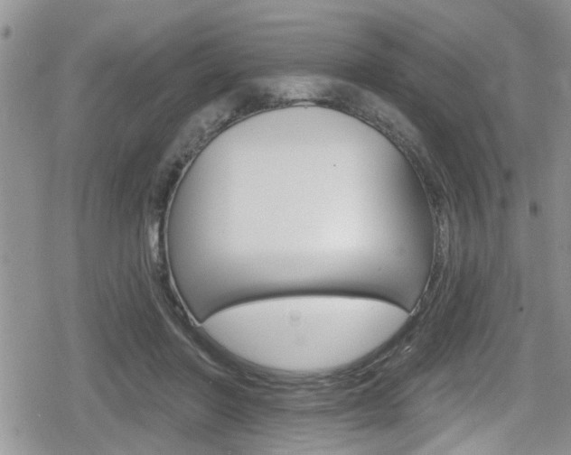 X0000080200406200612081139