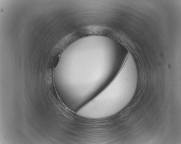 X0000080200413200612081139