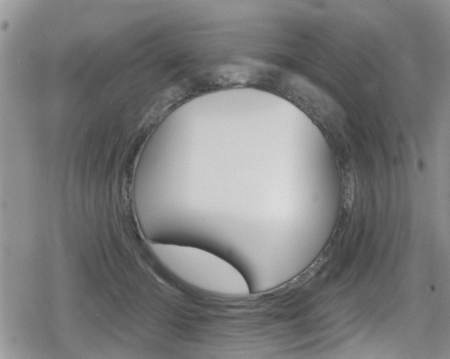 X0000080200414200612081139