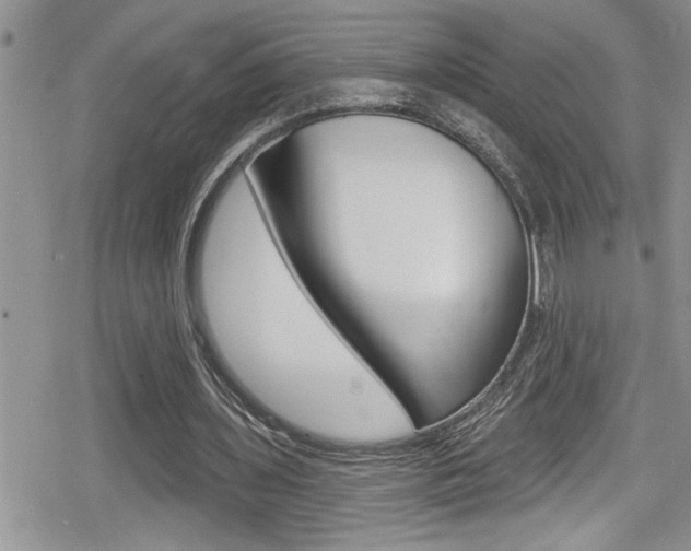 X0000080200435200612081138