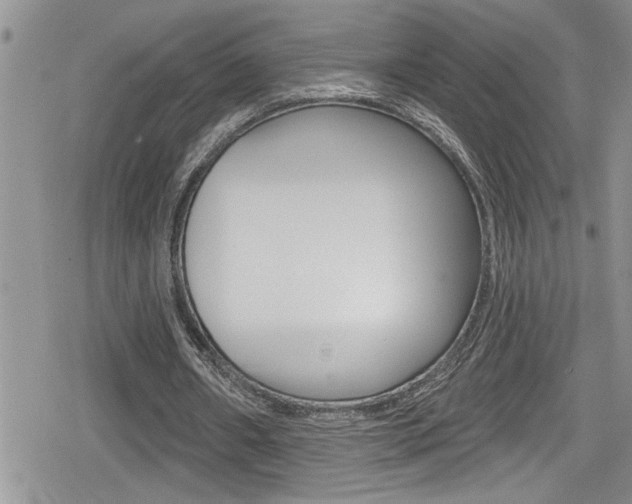 X0000080200482200612081138