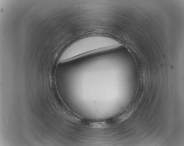 X0000080200508200612081137