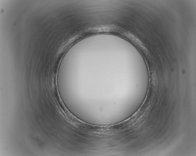 X0000080200537200612081136