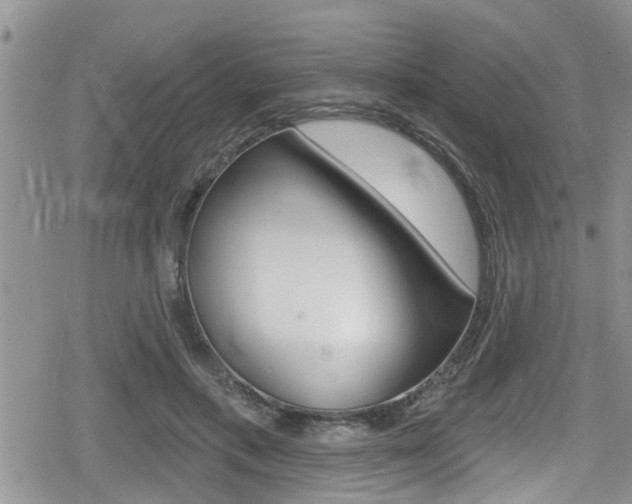 X0000080200597200612081136