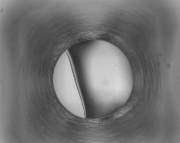 X0000080200624200612081135