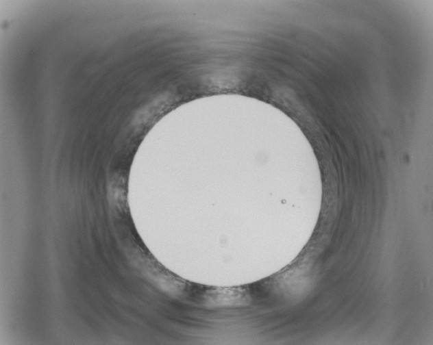 X0000080200672200612081135