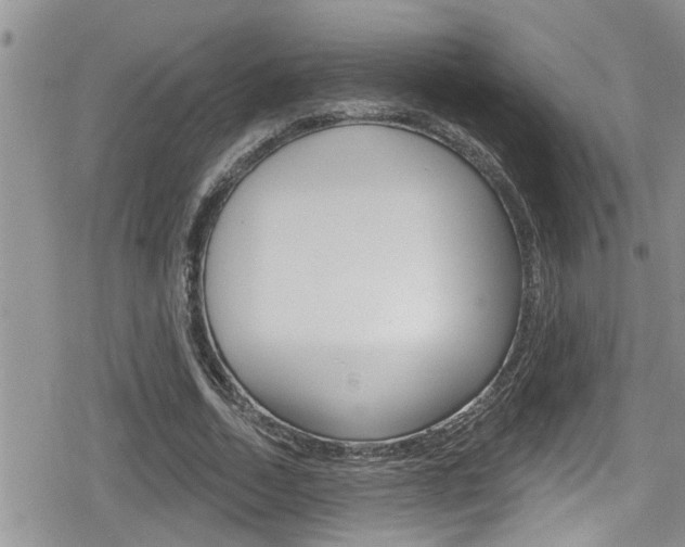 X0000080200730200612081133
