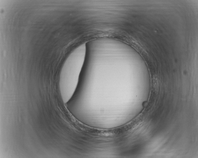 X0000080200741200612081133
