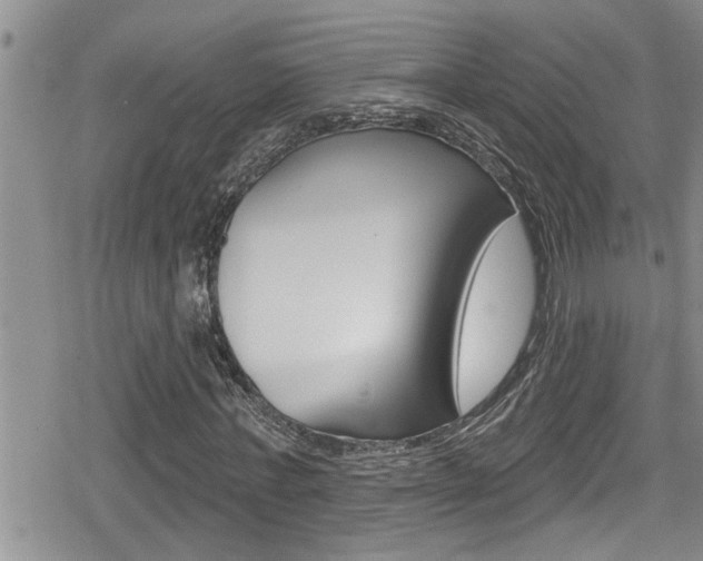 X0000080200771200612081133