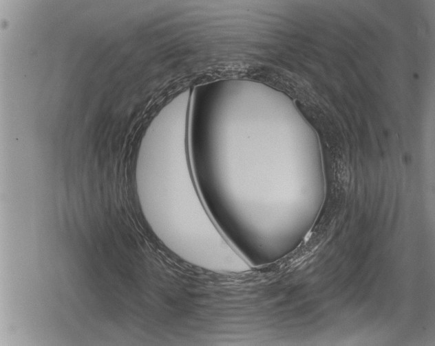X0000080200818200612081131