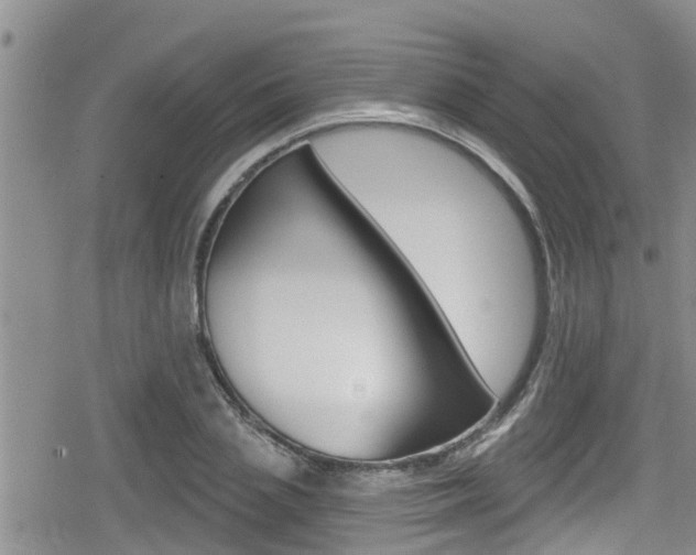 X0000080200837200612081132