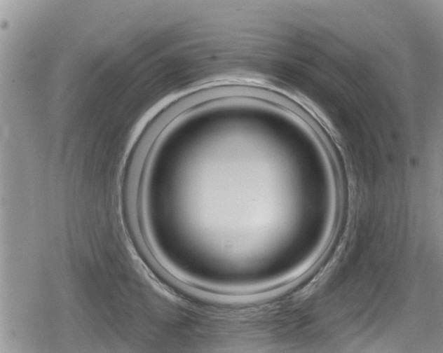 X0000080200854200612081132