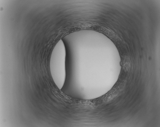 X0000080200866200612081131