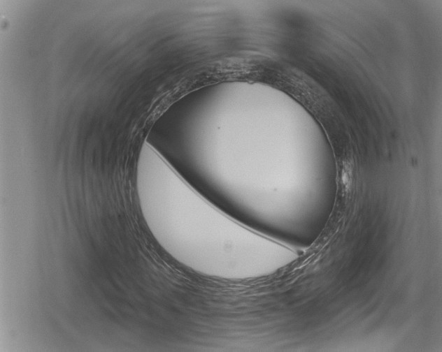 X0000080200867200612081131