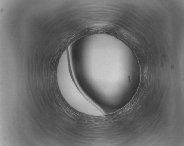 X0000080200868200612081131