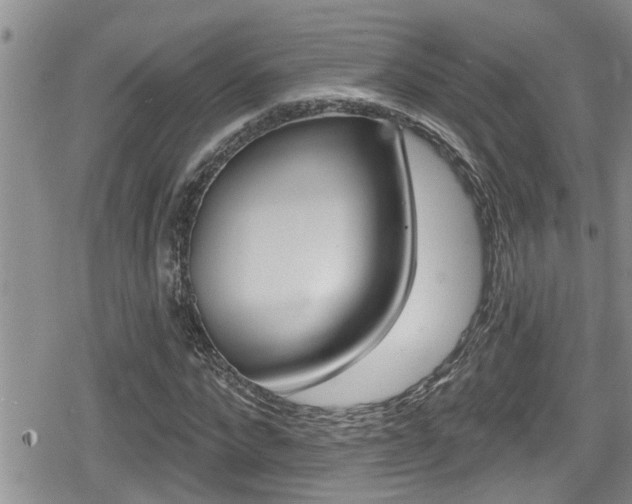 X0000080200872200612081131