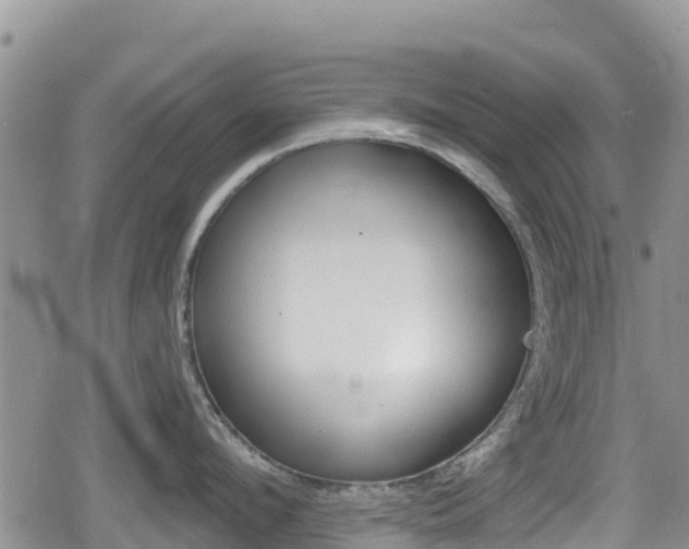 X0000080200912200612081131