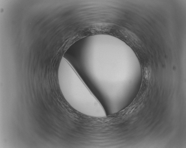 X0000080200915200612081130