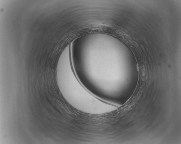 X0000080200916200612081130
