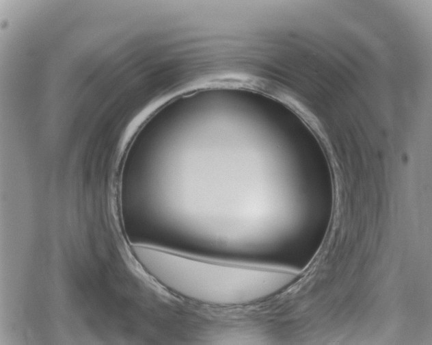 X0000080200960200612081131