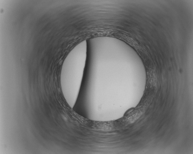 X0000080200962200612081130