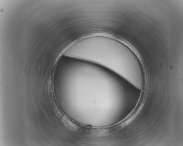 X0000080201001200612081129
