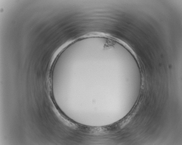 X0000080201003200612081129