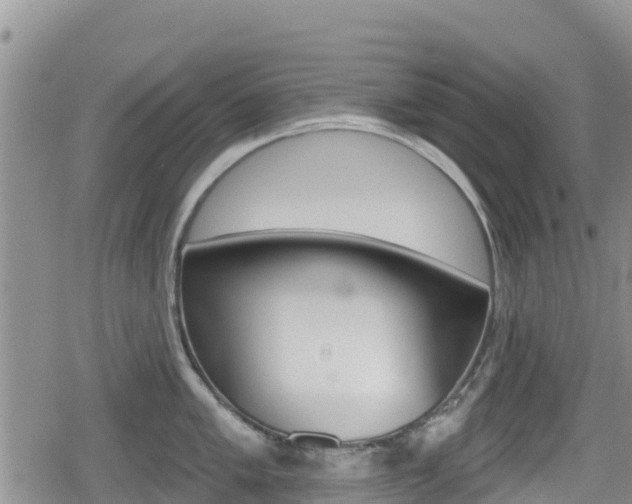 X0000080201005200612081129