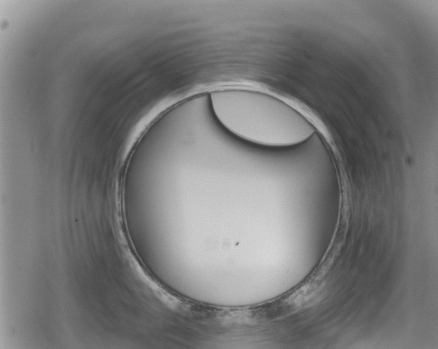X0000080201006200612081129