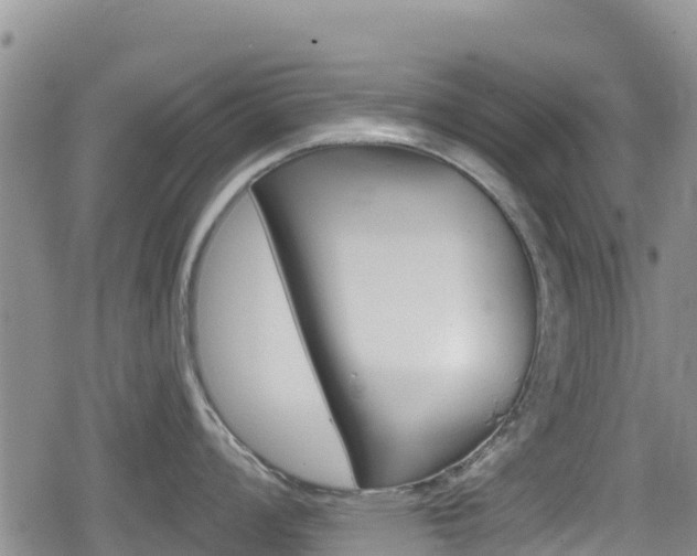 X0000080201008200612081129