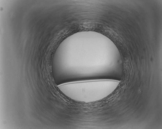 X0000080201009200612081128