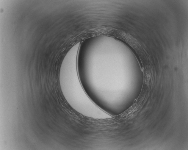 X0000080201010200612081128