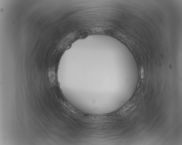 X0000080201011200612081128