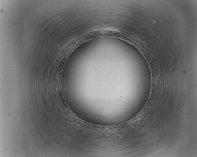 X0000080201014200612081128
