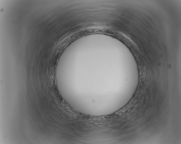 X0000080201015200612081128
