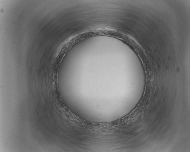 X0000080201016200612081128