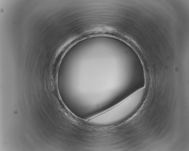 X0000080201018200612081128