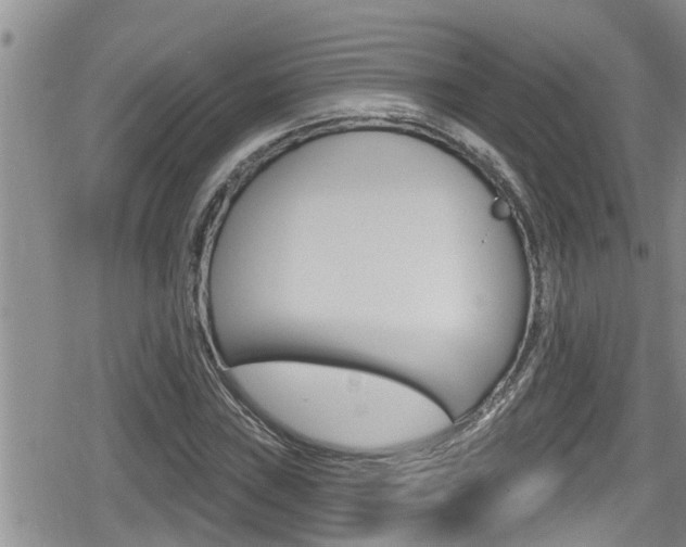 X0000080201019200612081129