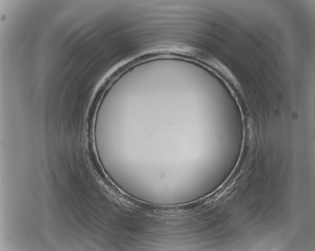 X0000080201020200612081129