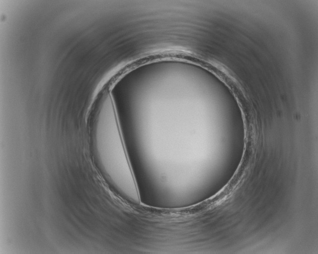 X0000080201022200612081129