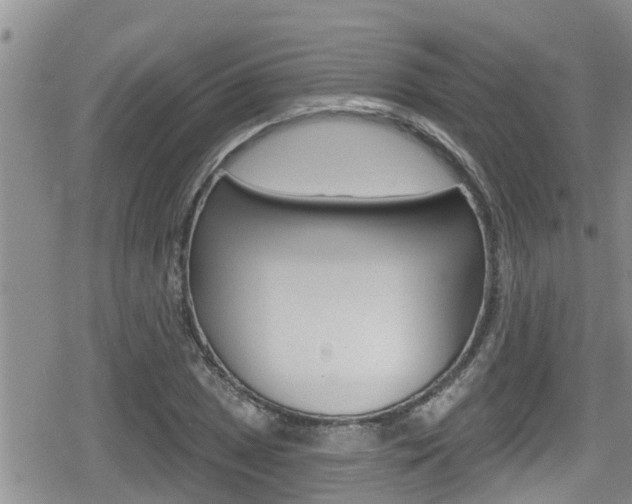 X0000080201025200612081129