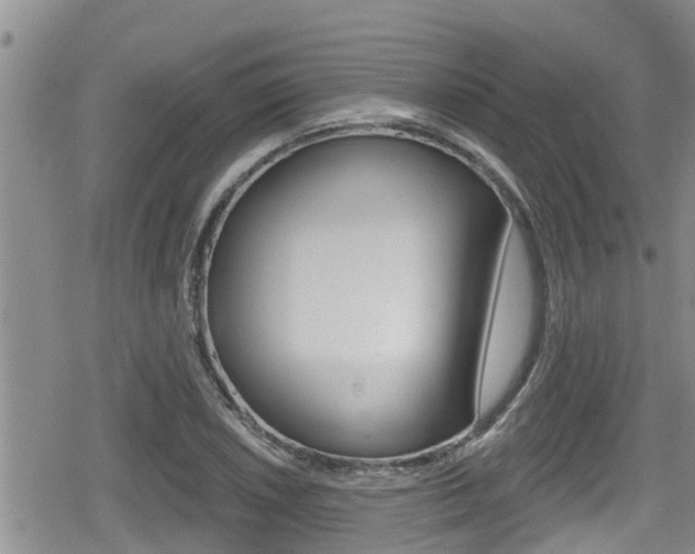 X0000080201026200612081129