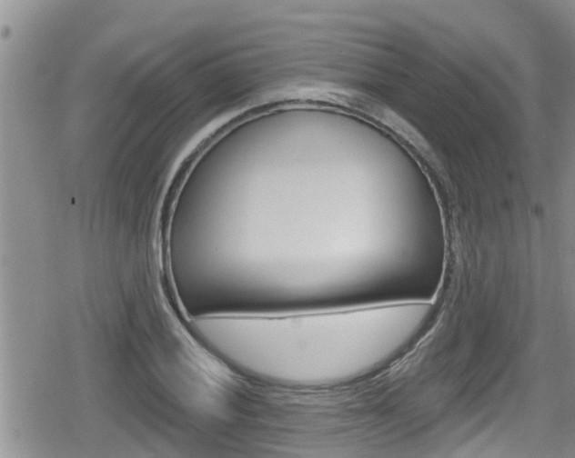 X0000080201028200612081129