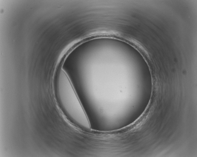 X0000080201030200612081129