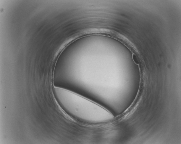 X0000080201033200612081129