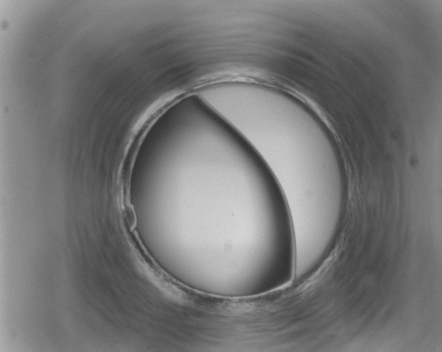 X0000080201034200612081129