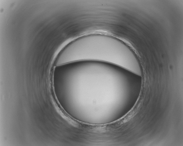X0000080201038200612081129