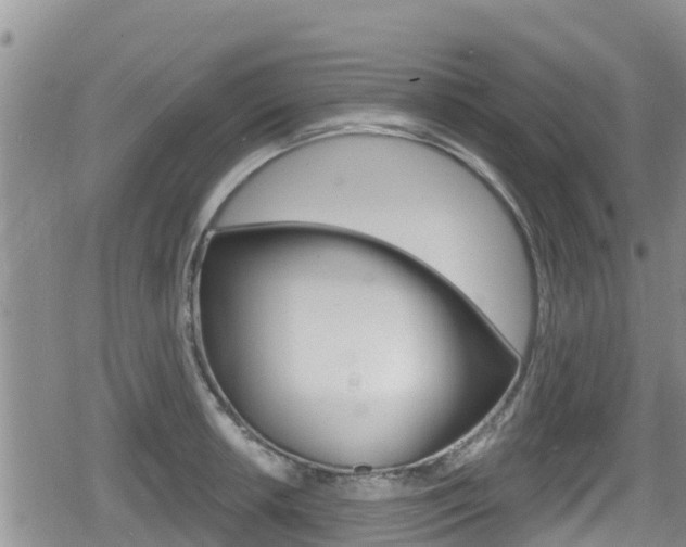 X0000080201042200612081129