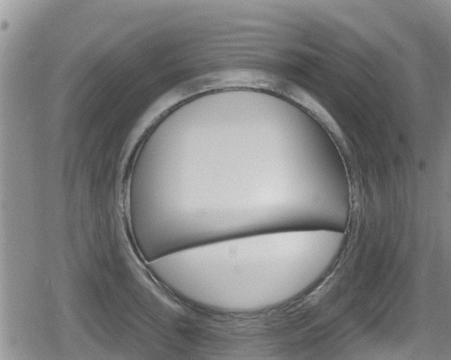 X0000080201043200612081129